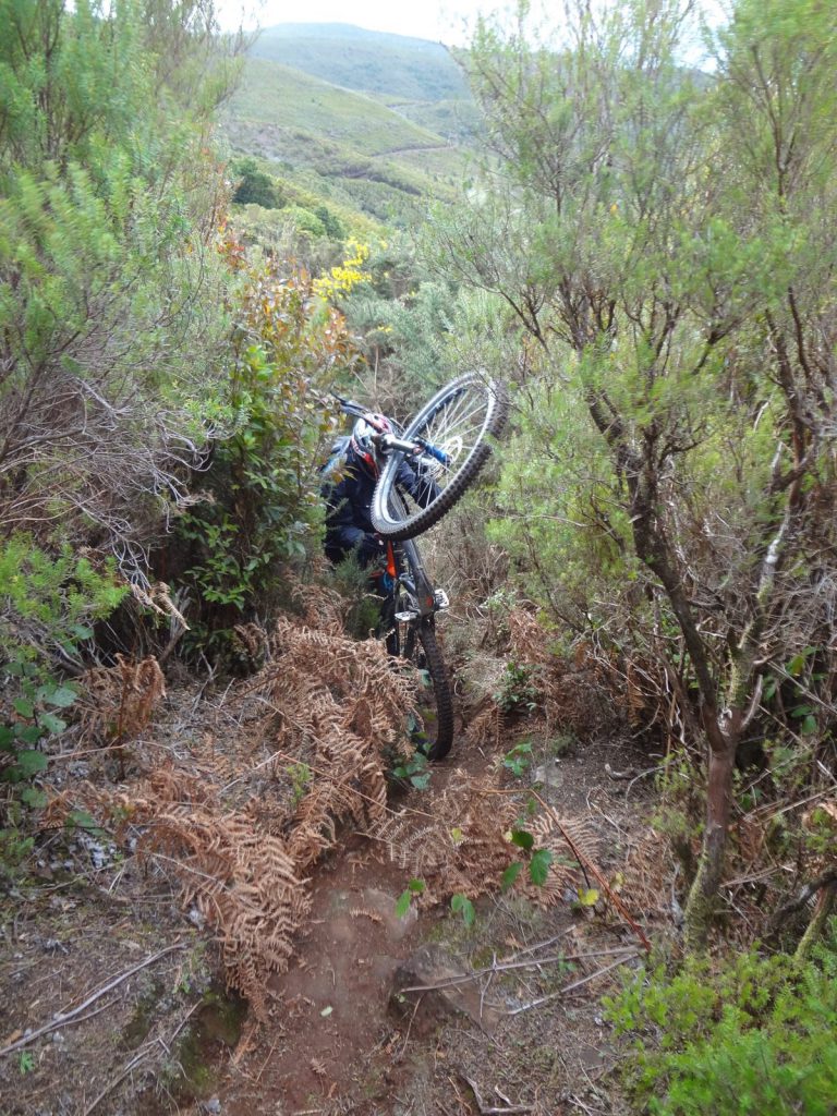 Madeira Enduro Mountainbike Freeride
